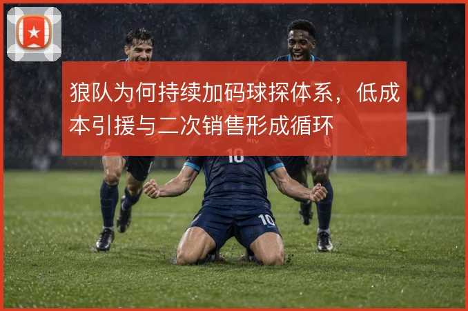 狼队为何持续加码球探体系,低成本引援与二次销售形成循环