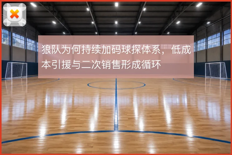 狼队为何持续加码球探体系,低成本引援与二次销售形成循环