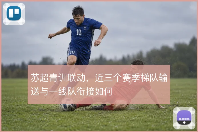 苏超青训联动,近三个赛季梯队输送与一线队衔接如何