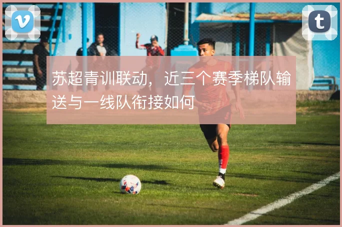 苏超青训联动,近三个赛季梯队输送与一线队衔接如何