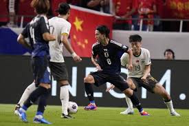 们在国内外